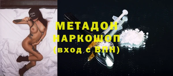 ПСИЛОЦИБИНОВЫЕ ГРИБЫ Горно-Алтайск