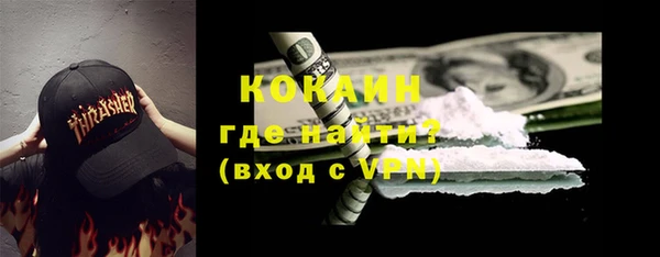 ПСИЛОЦИБИНОВЫЕ ГРИБЫ Горно-Алтайск